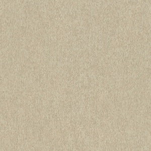 papel tapiz playa del carmen