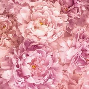 papel tapiz playa cancun