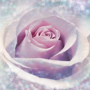 papel tapiz playa cancun