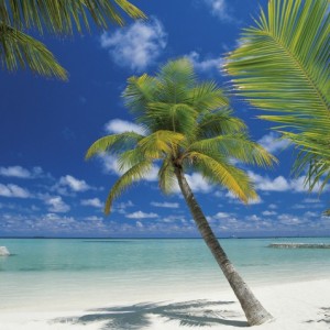 papel tapiz playa cancun